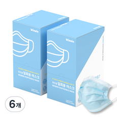 위즈윈 개별포장 일회용 마스크 하늘색, 50개입, 6개