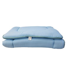 LAMINA 樂米娜 防蹣抗菌日式床墊