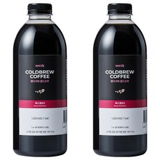 웨이크비 케냐 콜드브루 원액 액상 더치 커피, 2개, 1개입, 1L