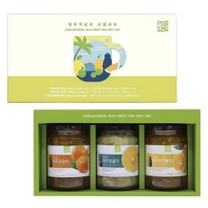 초록원 제주액상차 3종 선물세트 + 쇼핑백, 제주감귤차 560g + 제주청귤차 560g + 제주한라봉차 560g, 1세트