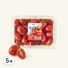 충남오감 세도농협 GAP 인증 대추방울토마토, 750g, 5박스