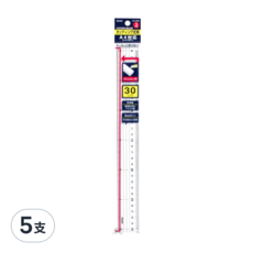 Raymay 藤井 繪圖專用切割尺 40g, ACJ2005, 5支