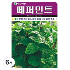 아람종묘 허브 페퍼민트 씨앗, 6개