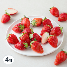 올푸릇 무농약 인증 금실딸기, 480g(중과), 4개