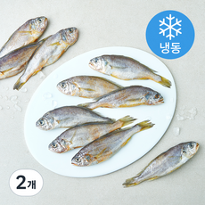 일품 법성포 이력추적 참조기 (냉동), 2개, 700g(중/10마리)