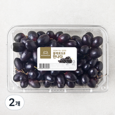 만나다 페루산 블랙포도, 2개, 900g