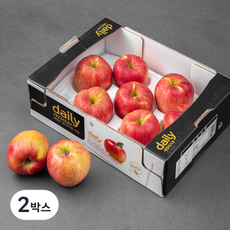 풍기농협 당도선별 사과, 2kg(7~10입), 2박스