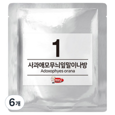 페스트세븐 페로몬 유인제 01 사과애모무늬잎말이나방, 1ml, 1g, 6개