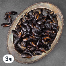 남해안 산지직송 생물 홍합 (냉장), 2kg, 3개