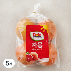 돌 남아공산 자몽, 1.5kg, 5개