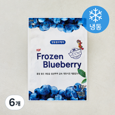 지안 미국산 블루베리 (냉동), 6개, 1kg