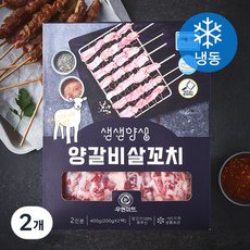 생생양생 양갈비살 꼬치 (냉동), 2개, 400g
