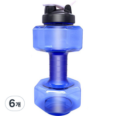 순잠 무게조절 물아령 워터 덤벨 2.6L 블루, 6개