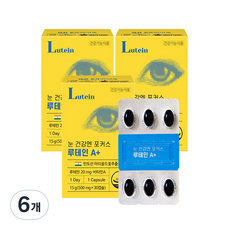 온유바이오 눈 건강엔 포커스 루테인A+ 15g, 30정, 6개