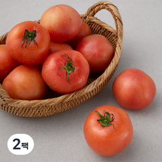 ONLYFARM GAP 인증 찰토마토, 2kg, 2팩