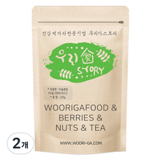우리가스토리 우리집비법 마늘분말, 250g, 2개