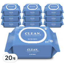 탐사 깨끗 비데티슈 캡형, 100매, 20개