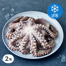 비비수산 깨끗하게 손질한 문어 한마리 (냉동), 2개, 1kg