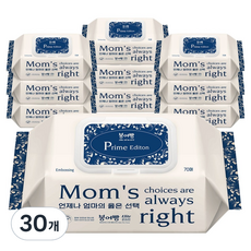 붕어빵 엘리트 올인원 프라임 에디션 아기물티슈 캡형, 80g, 70개입, 30개