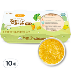 팜투베이비 레디 실온이유식 중기 단호박브로콜리죽, 단호박, 110g, 10개