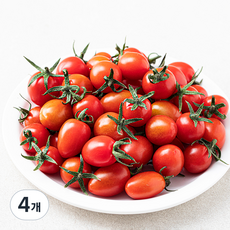 부성 미니 대추방울토마토, 1.5kg, 4개