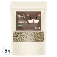 햄스타일 우드파이버 그레뉼 소동물 화장실 모래 오리지널, 5개, 400g