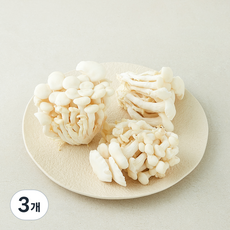 친환경 백색느타리버섯, 300g, 3개