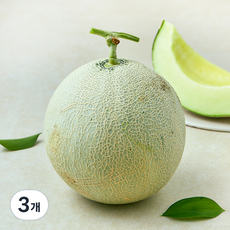 제이드가든 못난이 머스크메론, 3개, 1kg
