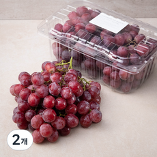 선우 칠레산 레드 글러브 포도, 2kg, 2개