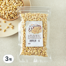 아산율림영농조합 중국산 잣, 3개, 100g