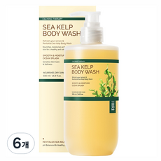 하라즈 다시마 바디워시 로즈마리향, 500ml, 6개