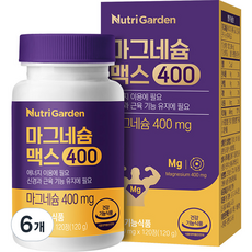 뉴트리가든 마그네슘 맥스400, 6개