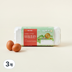 애월아빠들 무항생제 인증 자연방사 유정 초란 360g, 10구, 3개