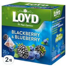 LOYD 黑莓與藍莓風味茶包, 2g, 2個, 20入