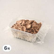 친환경 고기느타리버섯, 500g, 6개