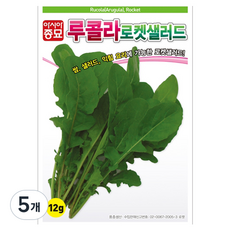 아시아종묘 루콜라 로켓샐러드 씨앗 12g, 5개