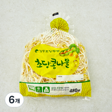 강릉초당두부 GAP 인증 초당콩나물, 480g, 6개