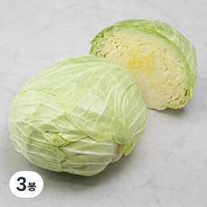 제주도 친환경 양배추, 1000g, 1개, 3봉
