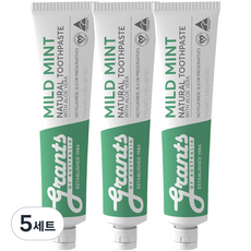 그란츠 마일드민트 치약 3p, 15개