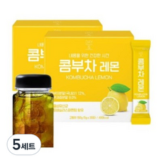 데이앤 콤부차 레몬 5g x 30p 2개 + 트라이탄 보틀, 30개입, 5개