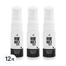 시나몬이오 정말싫다 모기 스프레이, 20ml, 12개