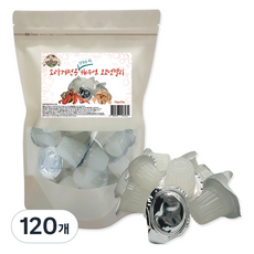 펫츠핸들러 소라게전용 해수염 코코넛젤리, 120개