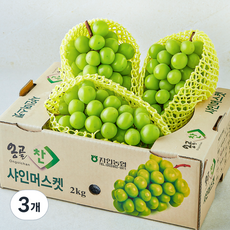 한들 옹골찬 샤인머스캣, 3개, 2kg
