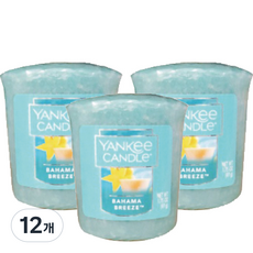 YANKee CANDLe 許願蠟燭