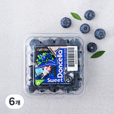 칠레산 블루베리, 125g, 6개