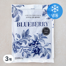 웰루츠 블루베리 (냉동), 3개, 1kg