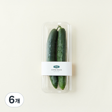 프리미엄 취청오이, 2개입, 3개