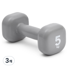 리복 트레이닝 덤벨 그레이 RAWT-11155, 3개