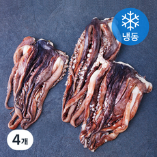 고등어청년 대왕 오징어 다리 (냉동), 4개, 1kg