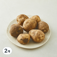 제주 햇 감자, 2개, 1kg